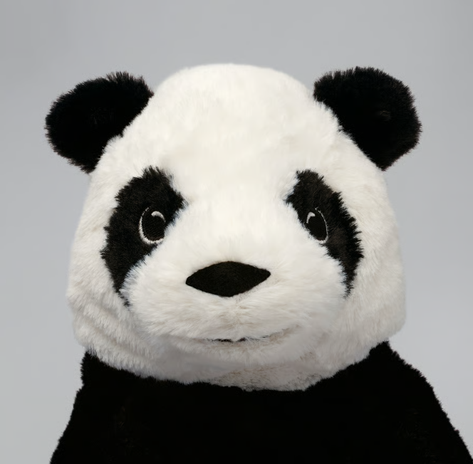 TugiKodu Panda
